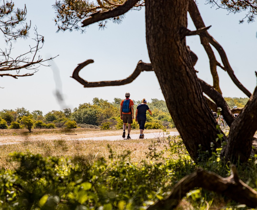Noordhollands Duinreservaat Egmond02.jpg