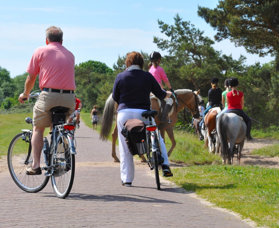 Fietsroutes(4).jpg