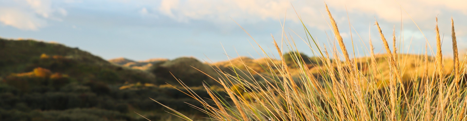 duinen.jpg